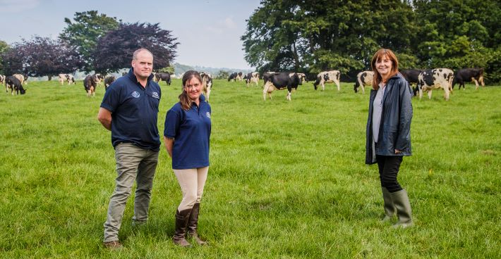 a group of people standing in a field with cows in the background